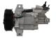 Webasto/Diavia A/C 92600-0216R - COMPRESOR DACIA VALEO NEW